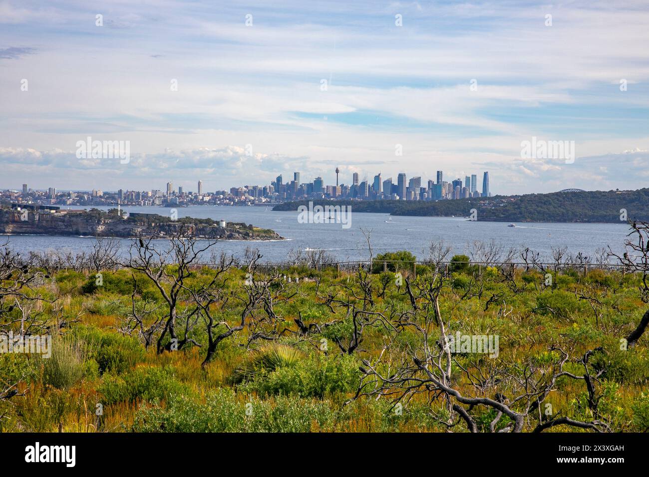 Paesaggio di North Head Manly con vista sul porto di Sydney fino a South Head e sulla città del CBD di Sydney, Sydney, NSW, Australia Foto Stock