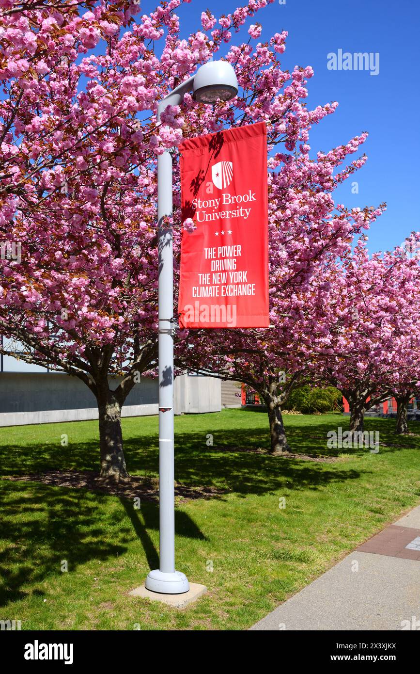 Splendida sorgente luminosa alla Stony Brook University di Stony Brook, New York, nella contea di Suffolk, a Long Island Foto Stock