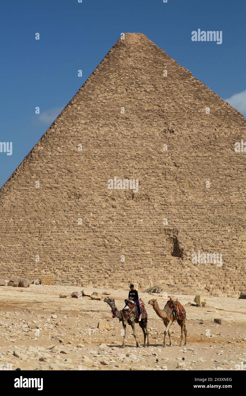 Man on Camel, Piramide di Khufu (sfondo), complesso della Piramide di Giza, sito patrimonio dell'umanità dell'UNESCO, Giza, Egitto Foto Stock