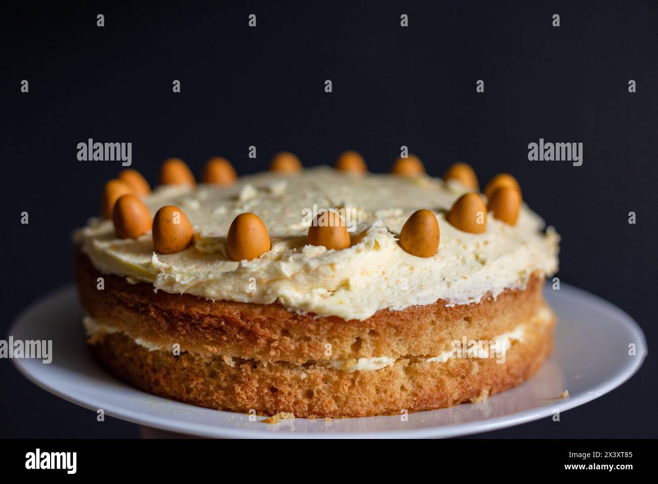 Fotografia di una torta all'arancia fatta in casa, due strati di spugna adagiata e ricoperta di crema di burro, decorata con mini uova arancioni lungo il bordo Foto Stock
