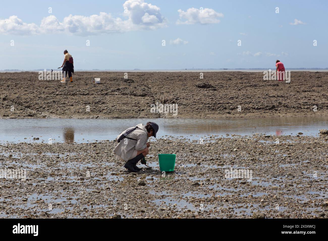 Francia, la Bernerie-en-Retz, 44. pesca costiera Foto Stock