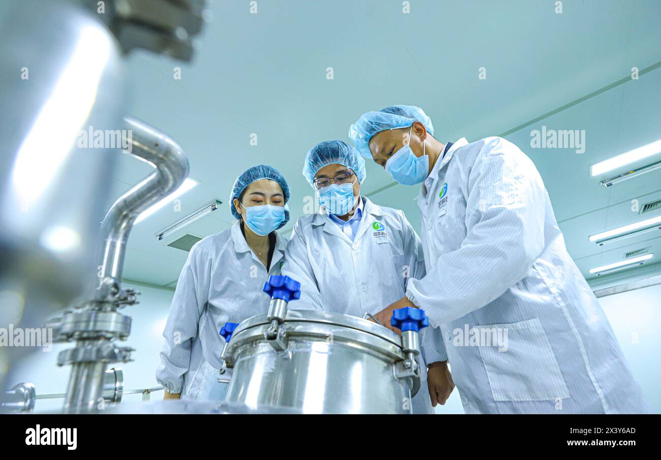 ZHANGYE, CINA - 29 APRILE 2024 - i membri del personale lavorano sul funzionamento delle attrezzature in una linea di produzione automatizzata per il fluido supercritico biotecnologico estr Foto Stock