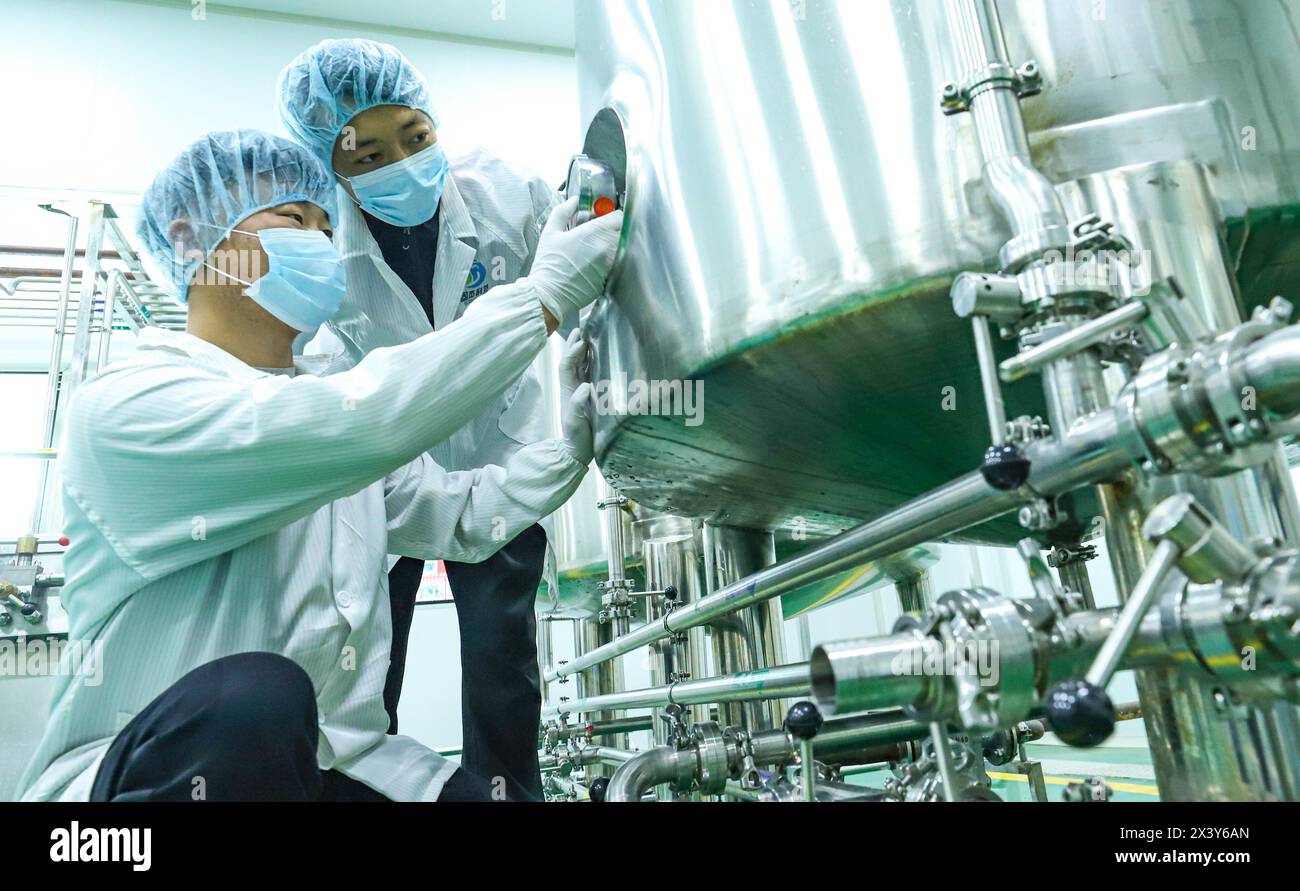 ZHANGYE, CINA - 29 APRILE 2024 - i membri del personale lavorano sul funzionamento delle attrezzature in una linea di produzione automatizzata per il fluido supercritico biotecnologico estr Foto Stock