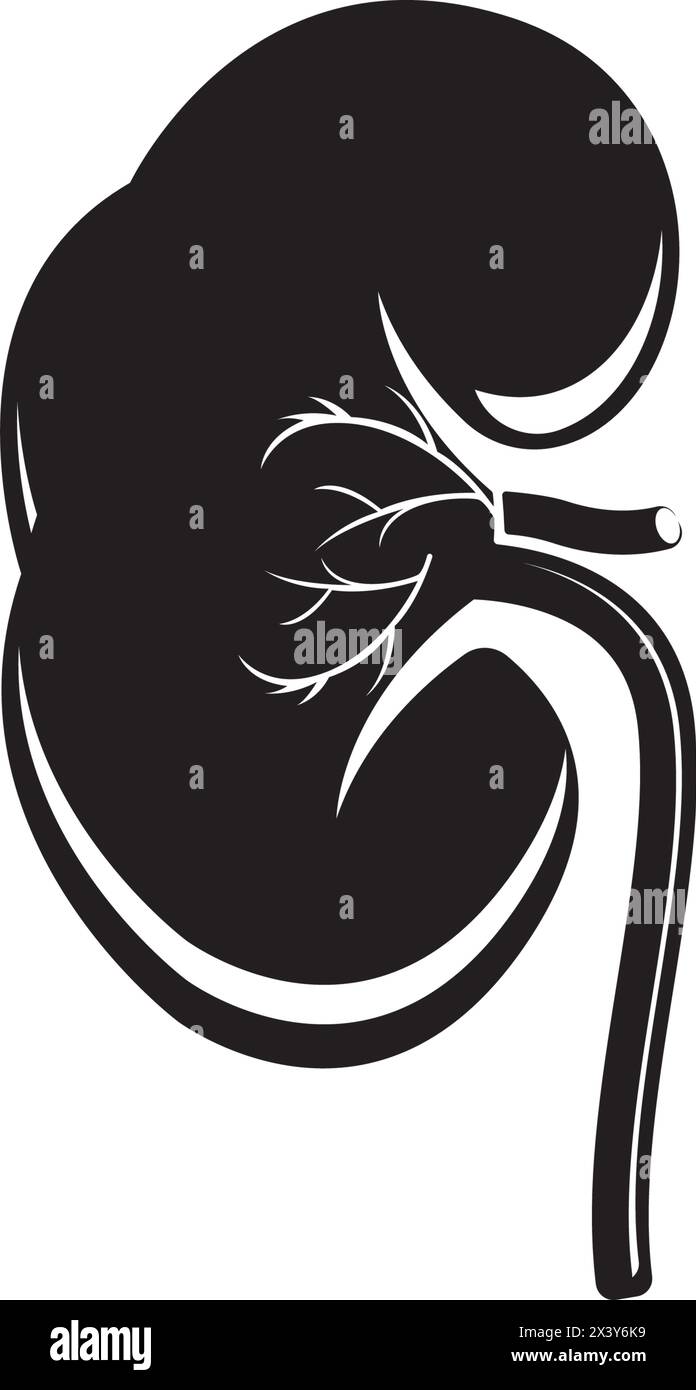 Disegno illustrativo dell'icona del vettore del sistema renale Illustrazione Vettoriale