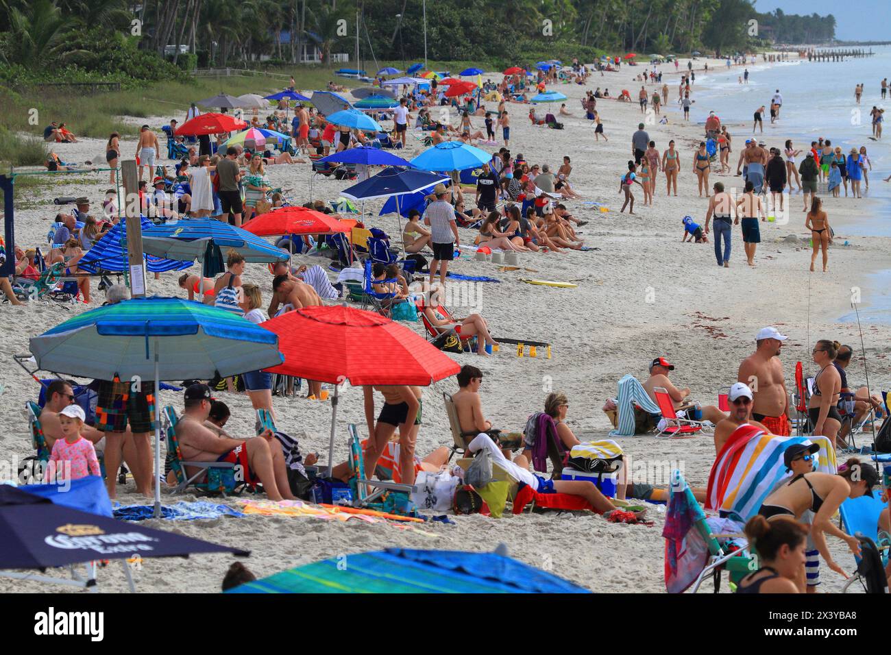 Stati Uniti, Florida. Napoli Foto Stock