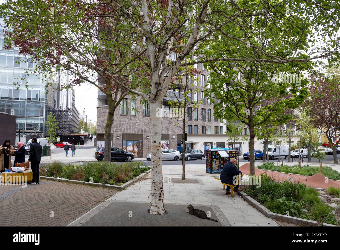 Fleet Valley Pocket Park, WC1, progettato per catturare il flusso d'acqua di superficie in un'area precedentemente completamente pavimentata. Foto Stock