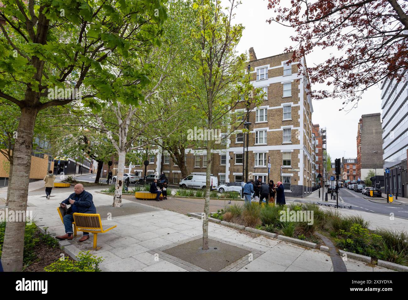 Fleet Valley Pocket Park, WC1, progettato per catturare il flusso d'acqua di superficie in un'area precedentemente completamente pavimentata. Foto Stock