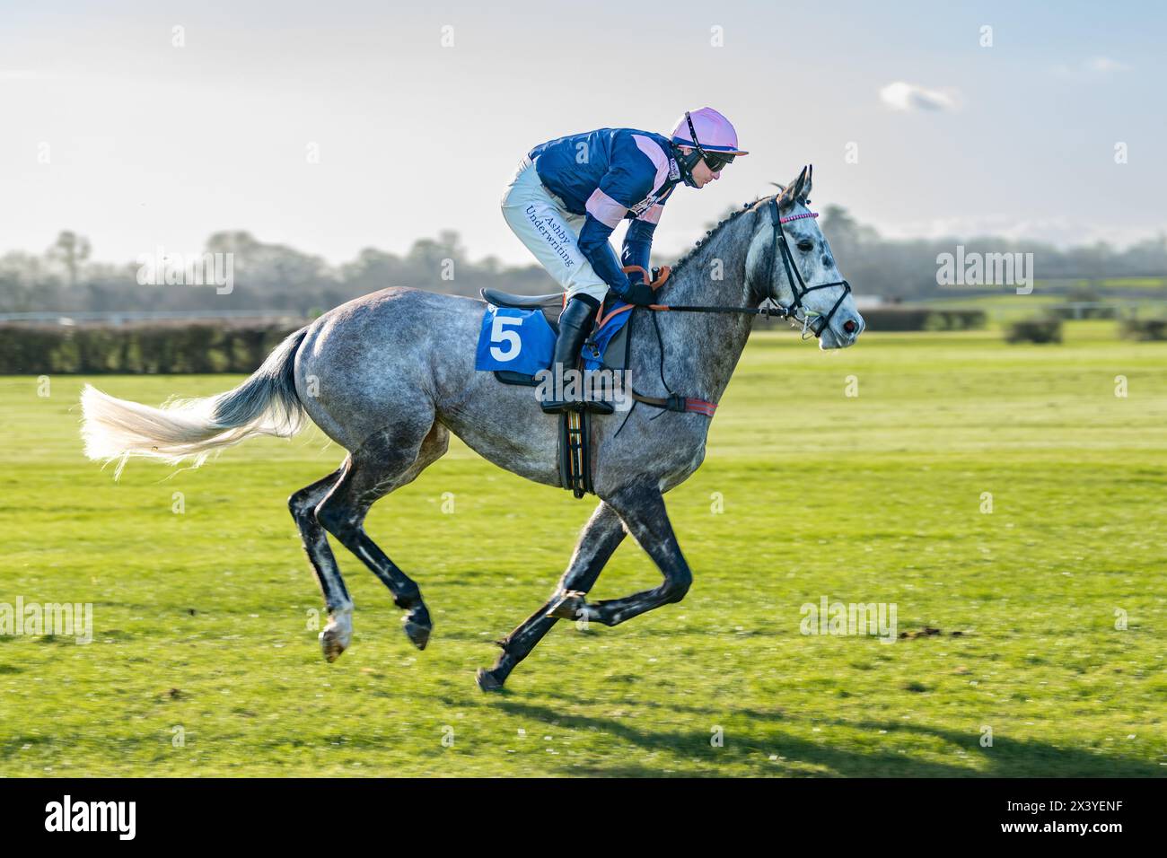 Wincanton hurdle Race, giovedì 20 gennaio 2022 Foto Stock