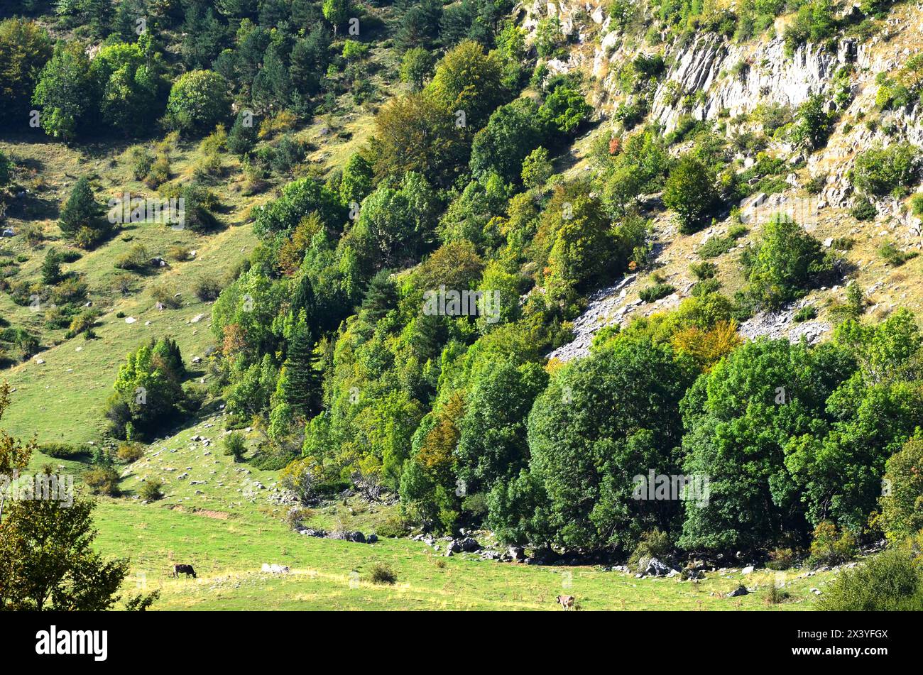 Parco naturale delle Valli occidentali nei Pirenei di Huesca, Spagna Foto Stock
