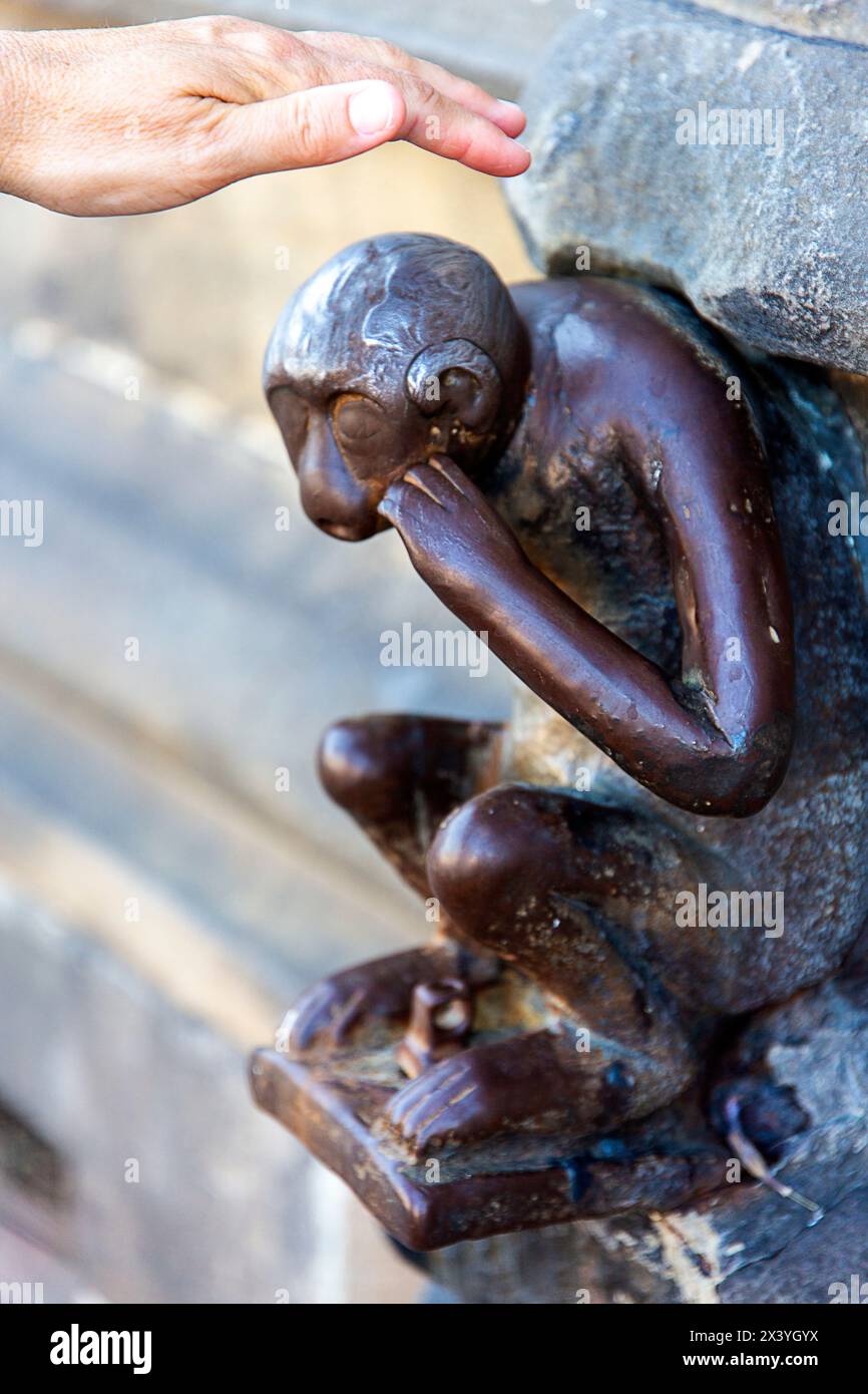 Europa, Belgio, Mons. Scimmia Grand'garde Foto Stock
