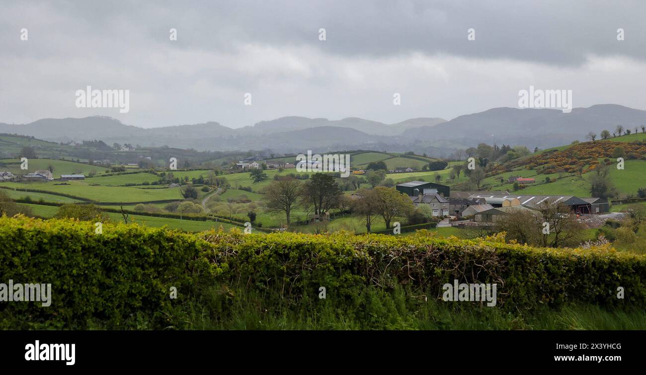 Closkelt, Contea di Down, Irlanda del Nord, Regno Unito. 29 aprile 2024. Meteo nel Regno Unito - un inizio bagnato e ventilato per la settimana lavorativa con nuvole basse e docce squamose. Per diventare più asciutto e più soleggiato nel pomeriggio. La campagna dei tamburi è grigia. Crediti: CAZIMB/Alamy Live News. Foto Stock