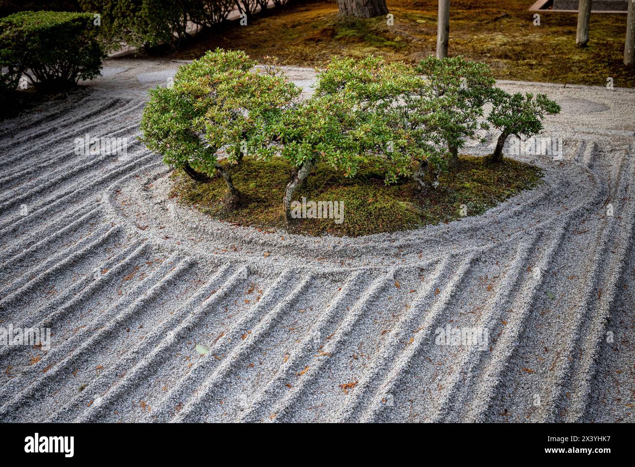 Dettaglio del giardino del tempio Ginkaku ji Foto Stock