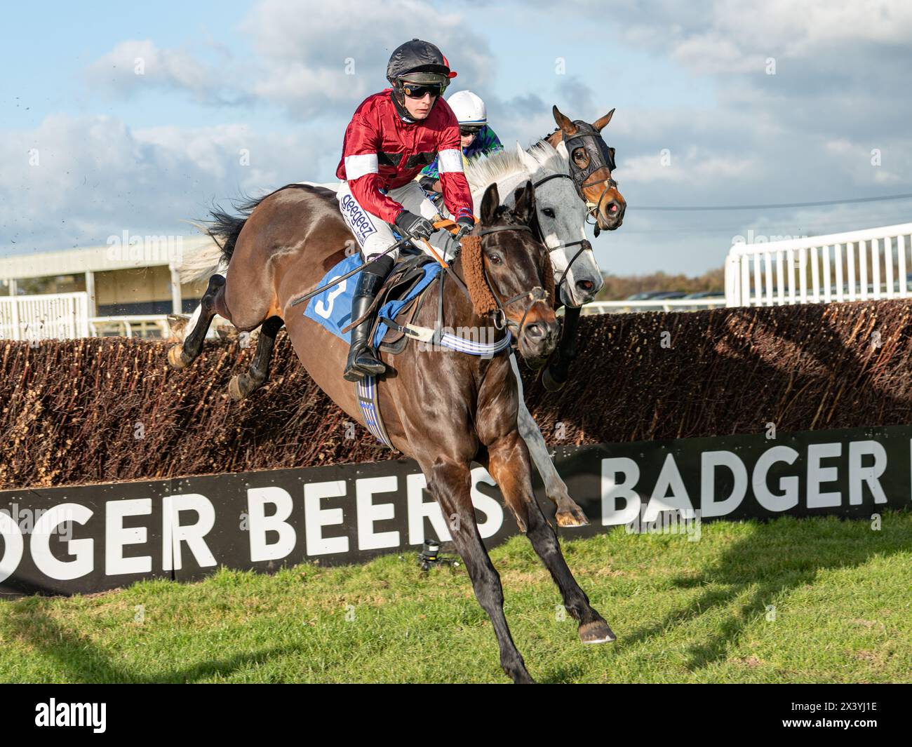 Terza gara a Wincanton, handicap Chase, giovedì 20 gennaio 2022 Foto Stock