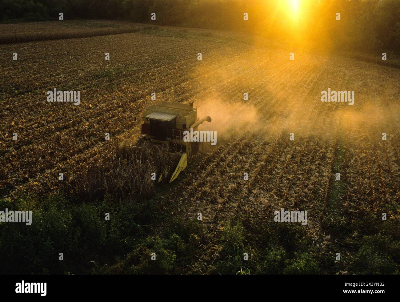 Raccolto di mais nell'Indiana meridionale Foto Stock