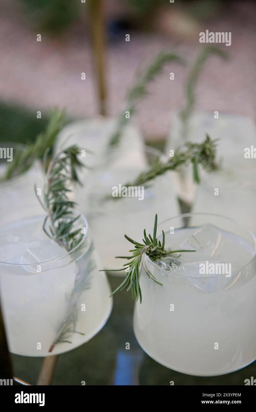 Cocktail eleganti adornati da fragranti rametti di rosmarino. Foto Stock