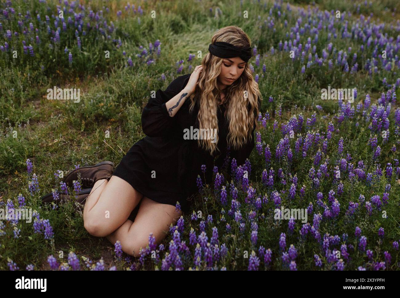 Elegante serenità in un vivace campo di lupini Foto Stock