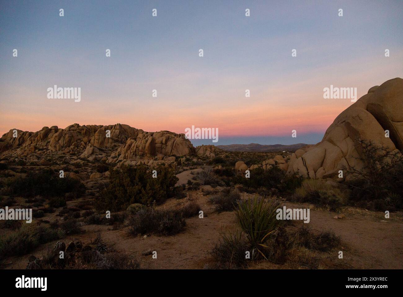 Luce soffusa al crepuscolo sul tranquillo paesaggio desertico di Joshua Tree Foto Stock