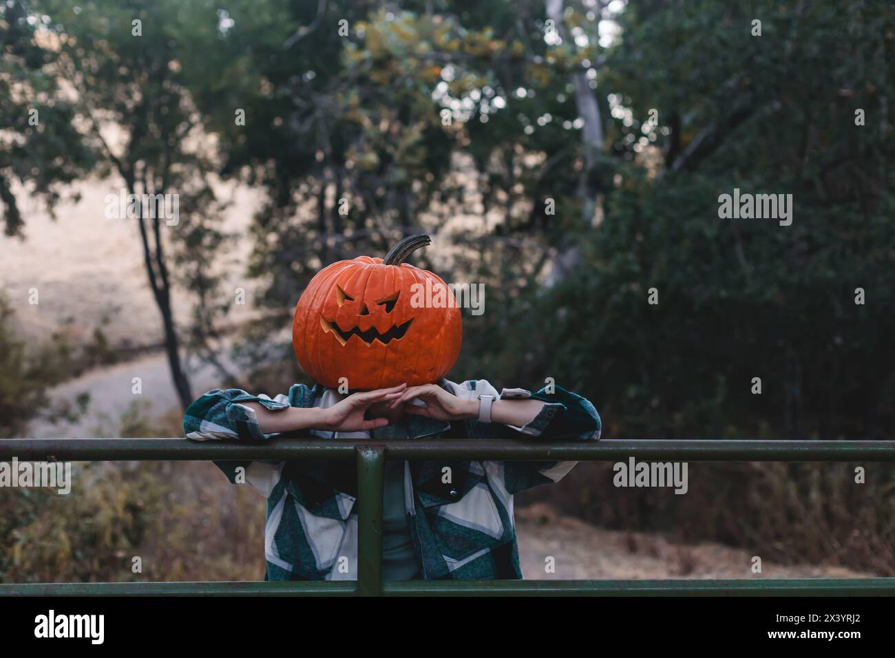 Persona che indossa la testa di zucca scolpita di Halloween Foto Stock