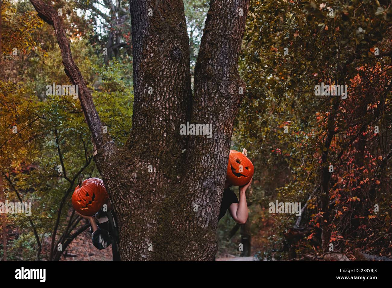 Due amici che indossano teste di zucca di Halloween intagliate Foto Stock