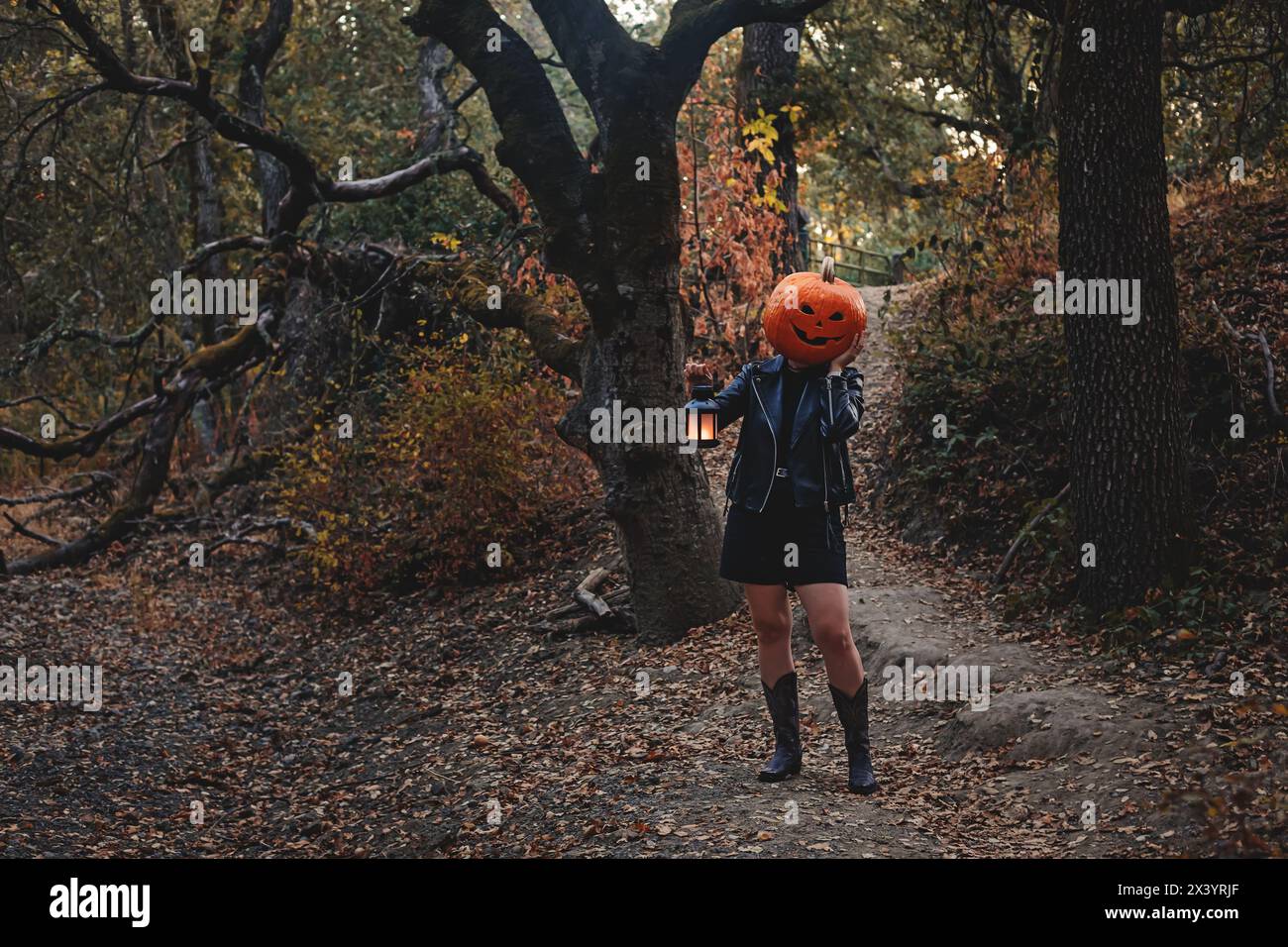 Persona che indossa la testa di zucca scolpita di Halloween con una lanterna Foto Stock