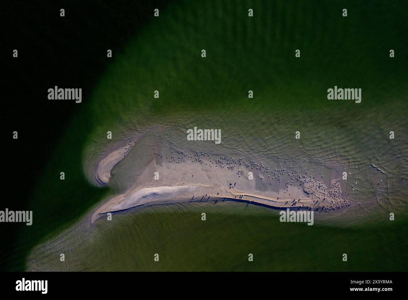 Stati Uniti, Florida. Contea di Collier. Marco Island. Diecimila isole Foto Stock