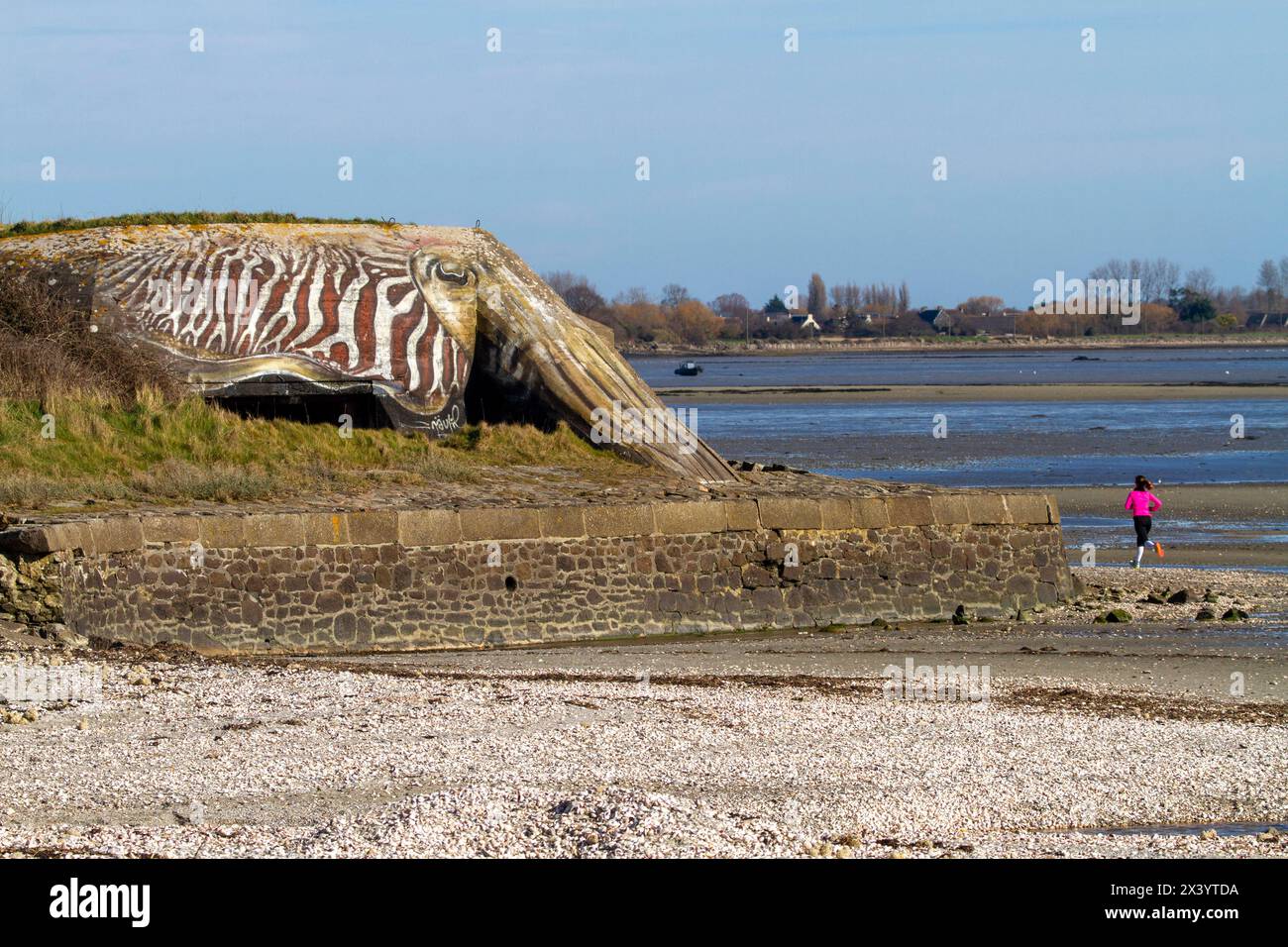 Francia, Manche, Cotentin. Saint-Vaast-la-Hougue Foto Stock
