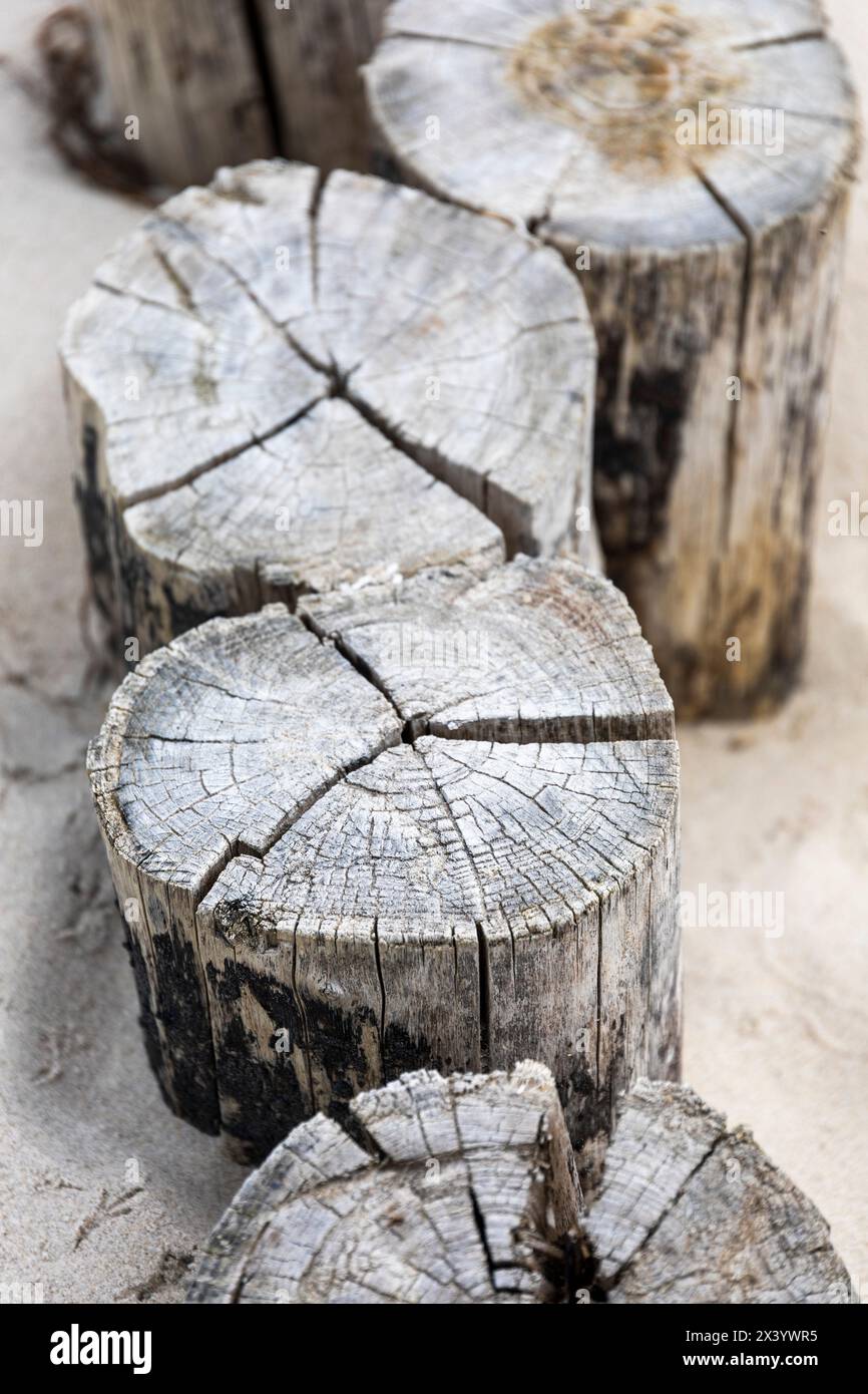 Europa, Germania. breakwater Foto Stock