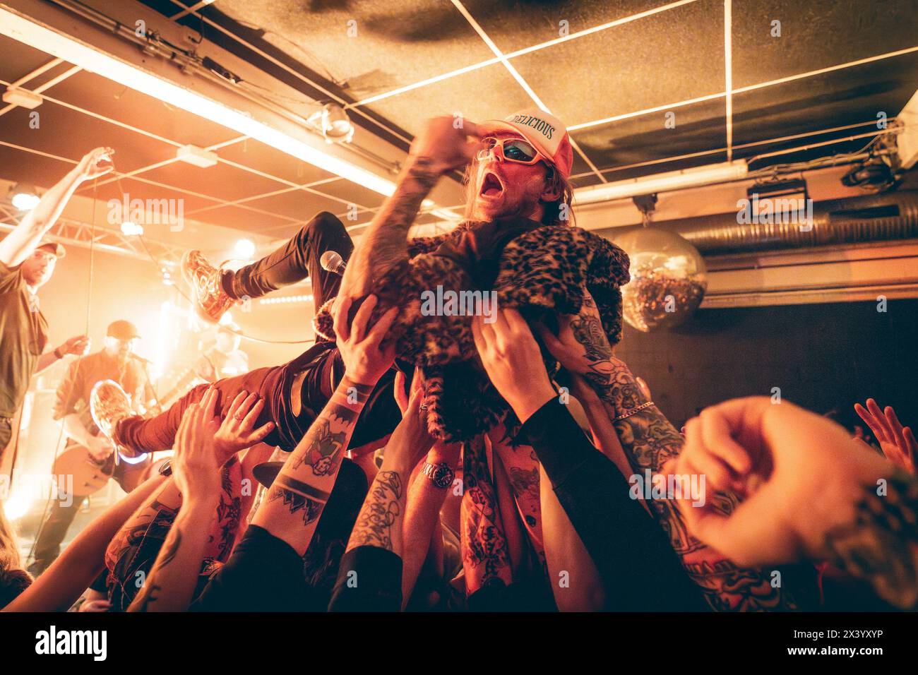 Malmo, Svezia. 25 aprile 2024. La punk band norvegese The Good the Bad and the Zugly esegue un concerto dal vivo al Plan B di Malmö. Qui il cantante Ivar Nikolaisen è visto fare il crowd surfing. (Credito fotografico: Gonzales Photo - Joe Miller). Foto Stock