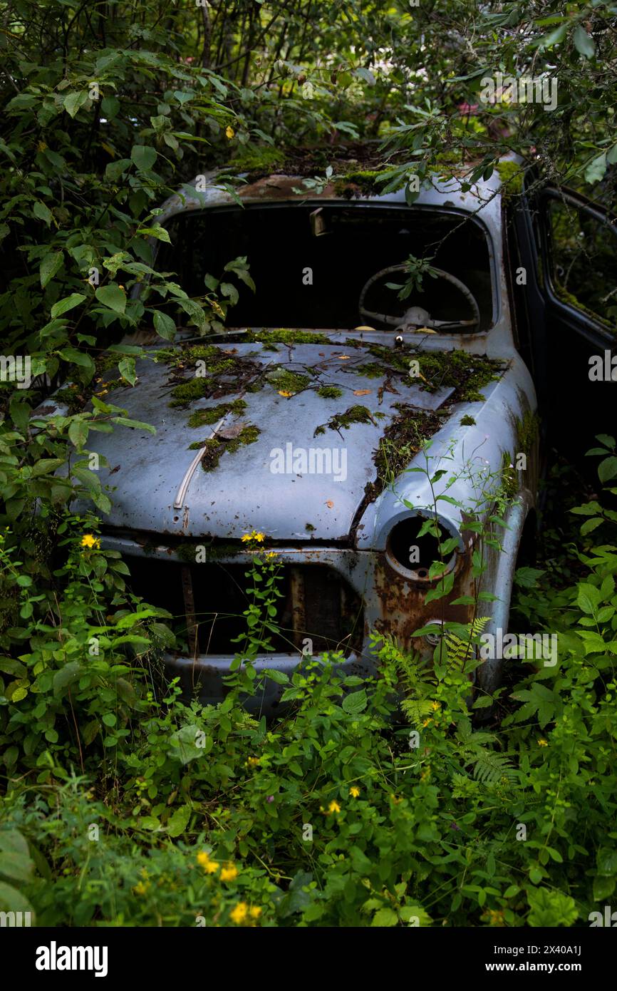 Europa, Scandinavia, Svezia. cimitero delle auto Foto Stock