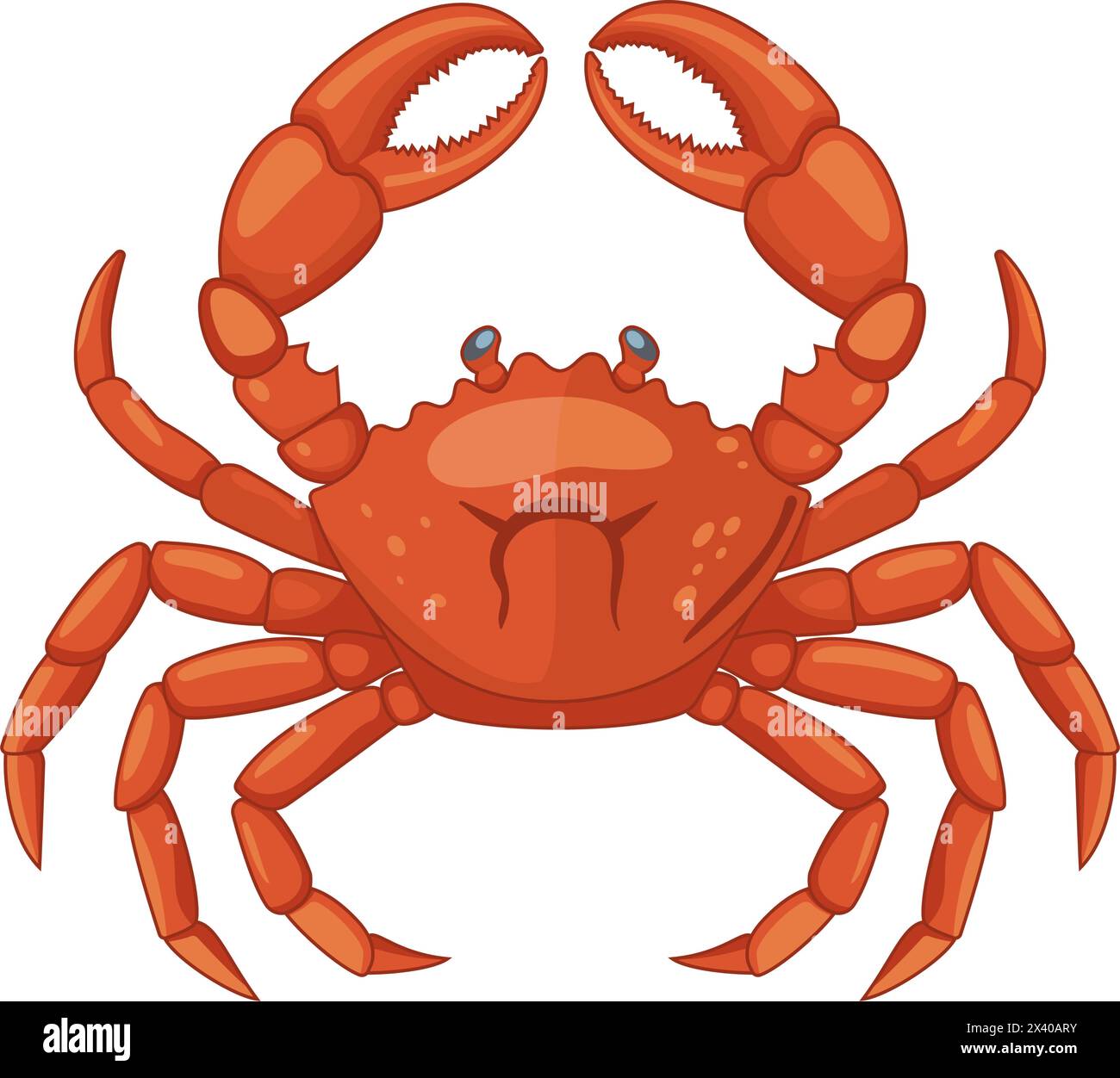 Il granchio isolati su sfondo bianco. Illustrazione Vettoriale