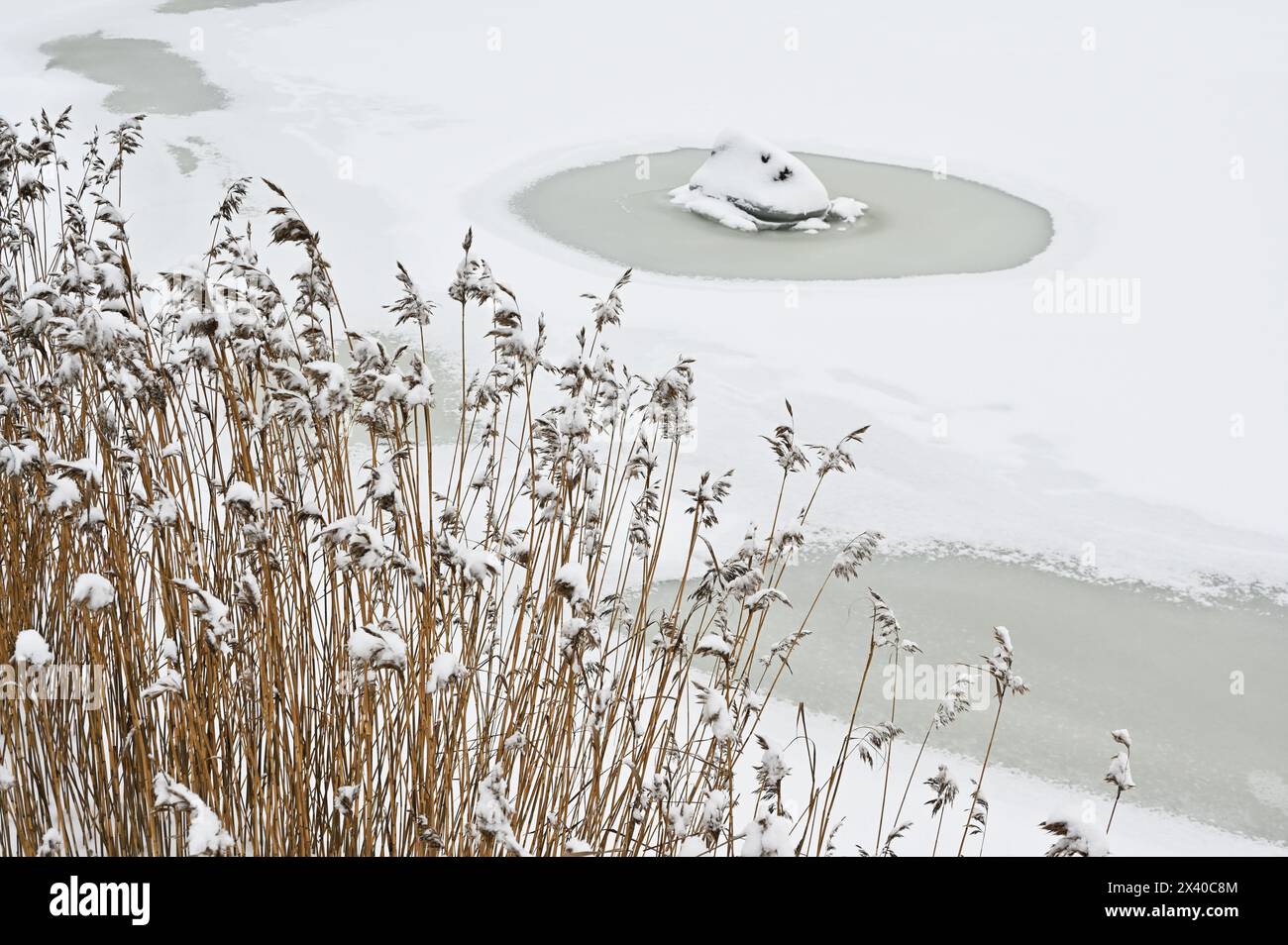 Lago invernale, pietra sotto la neve e canne in Finlandia Foto Stock