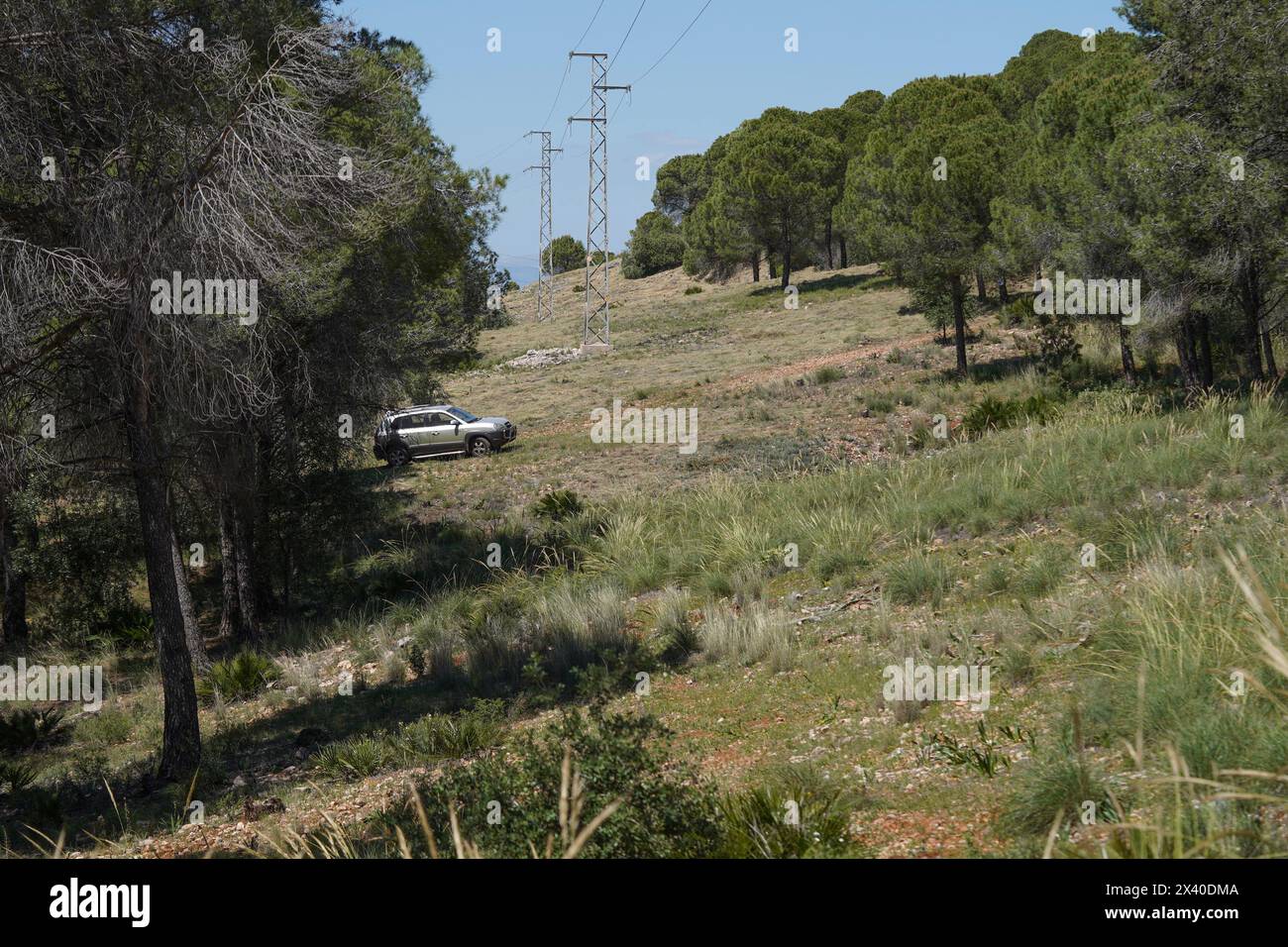 Auto parcheggiata in un incendio, una prima pistola, una linea di fuoco, un'interruzione del carburante nelle montagne spagnole, in Andalusia, Spagna. Foto Stock