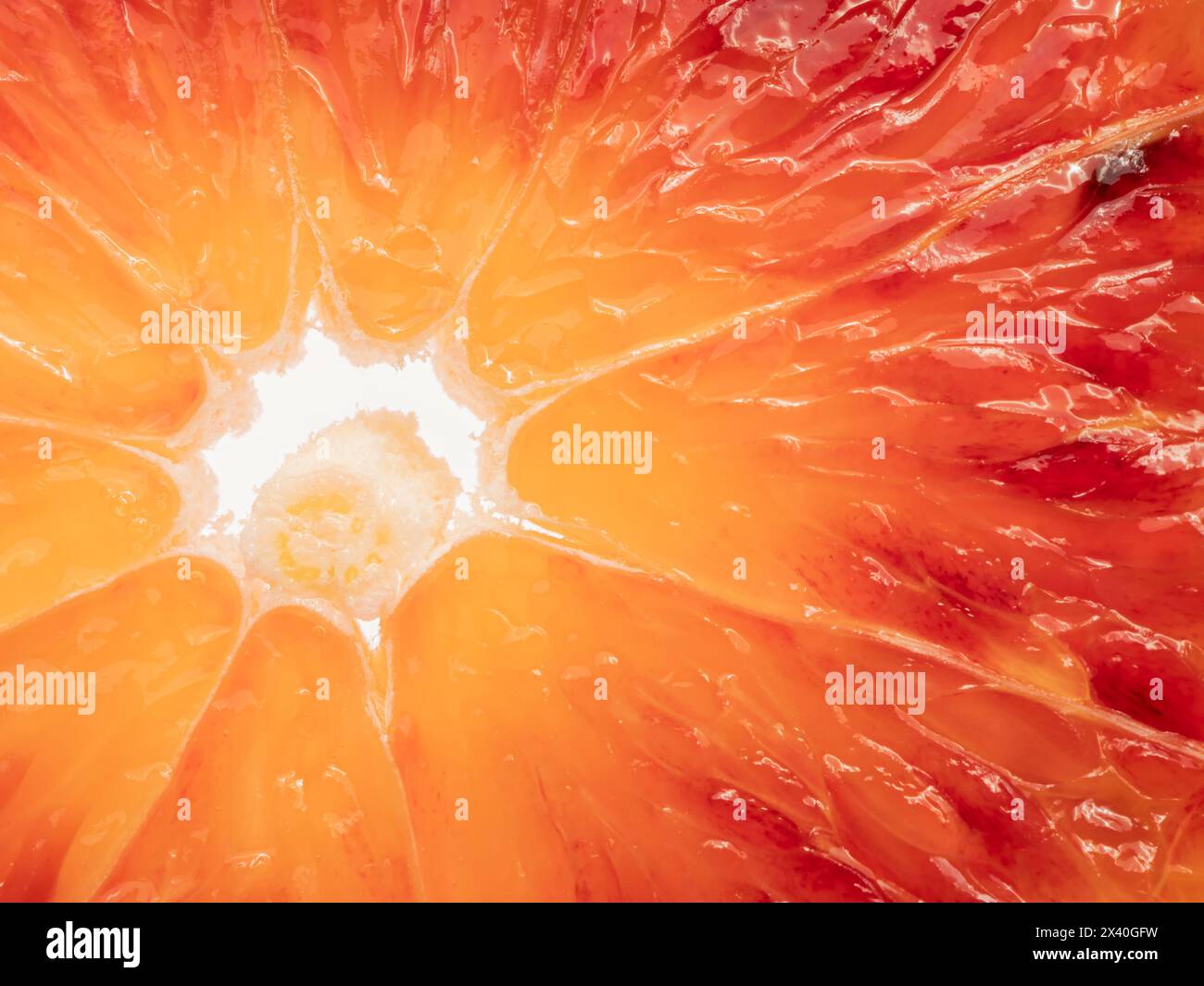 Fetta di frutta d'arancia siciliana, primo piano estremo Foto Stock