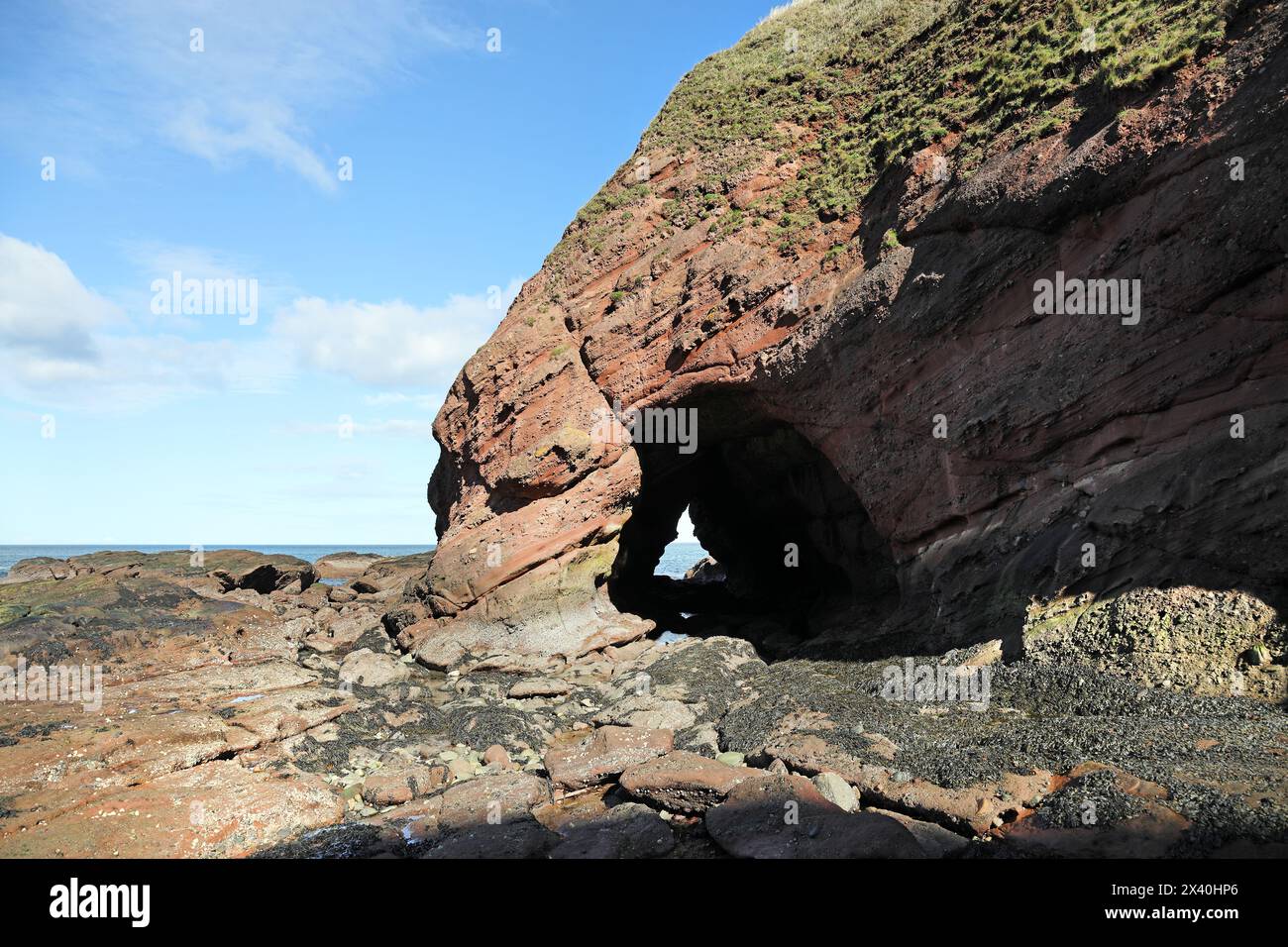 Sea Cave nel conglomerato di Red Sandstone Rock, Aberdour, Fife Coast, Scozia, Regno Unito Foto Stock