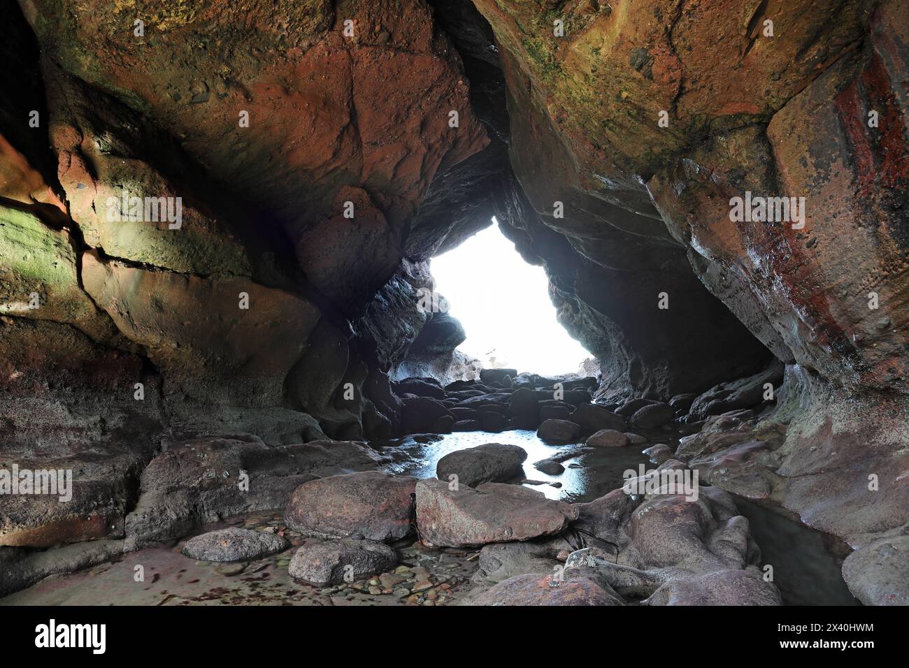 Sea Cave nel conglomerato di Red Sandstone Rock, Aberdour, Fife Coast, Scozia, Regno Unito Foto Stock