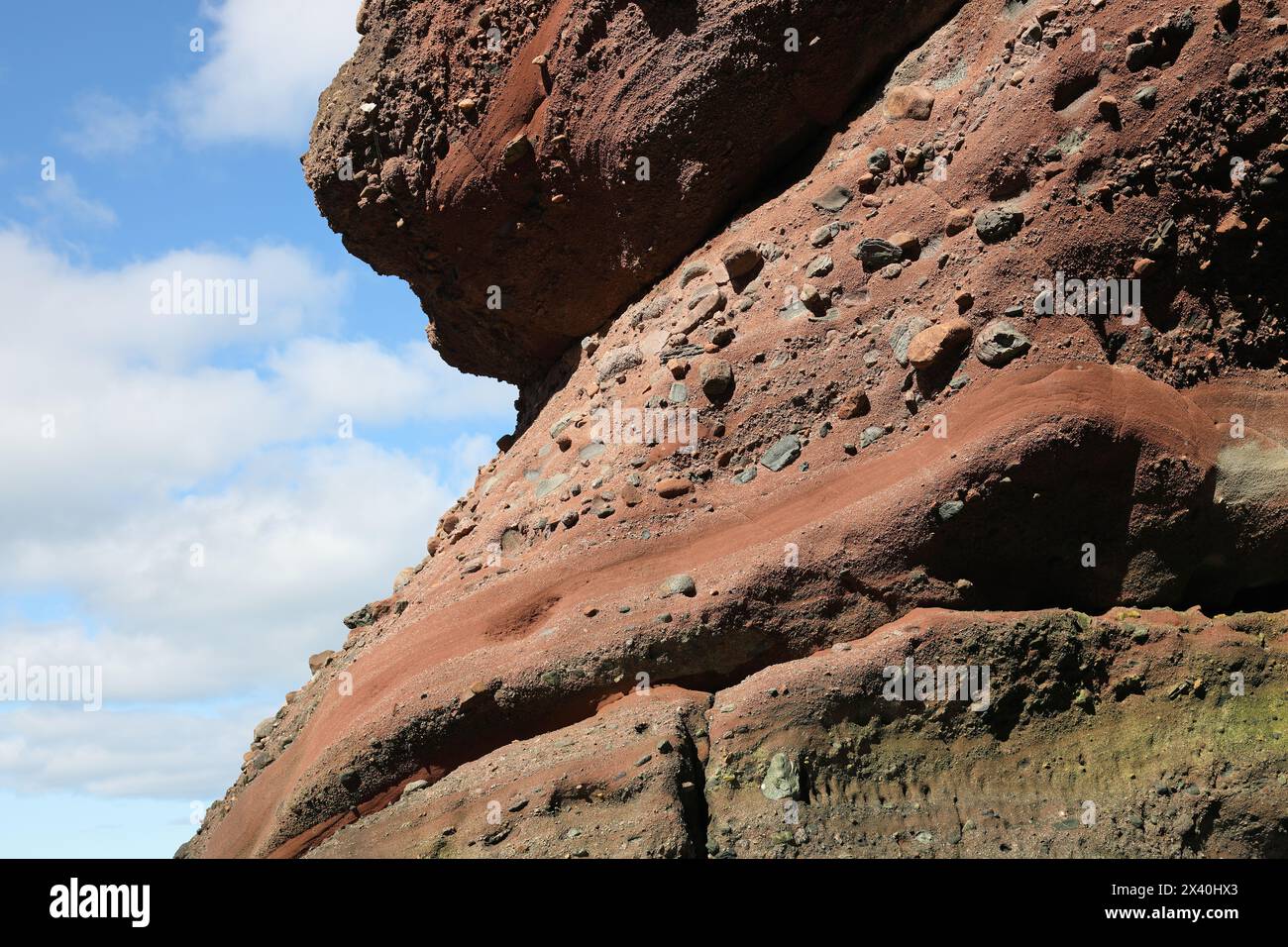 Red Sandstone conglomerate Rock, Aberdour, Fife Coast, Scozia, Regno Unito Foto Stock