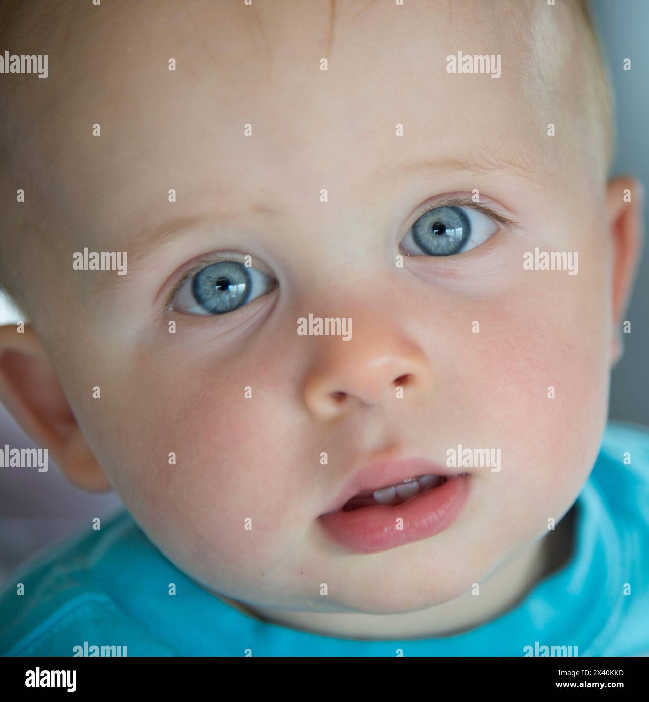 Ritratto ravvicinato di un bambino con grandi occhi blu; San Diego, California, Stati Uniti d'America Foto Stock