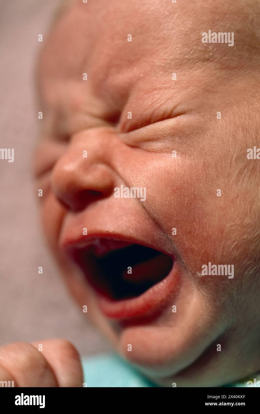 Primo piano del viso di un neonato che piange; Mystic, Connecticut, Stati Uniti d'America Foto Stock