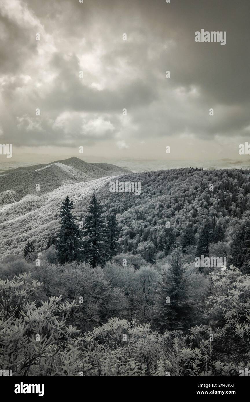 Blue Ridge Mountains in bianco e nero a infrarossi, con alberi che coprono la catena montuosa; North Carolina, Stati Uniti d'America Foto Stock