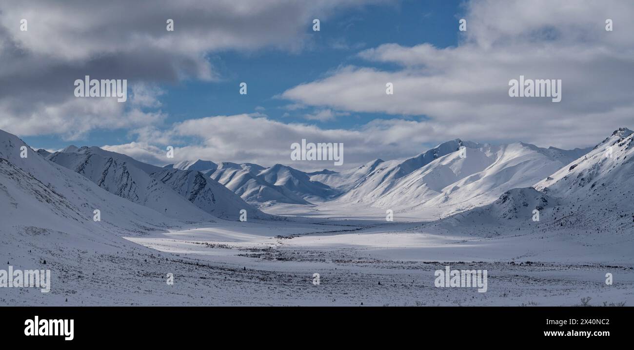 L'inverno copre il paesaggio della Blackstone River Valley fino alla Dempster Highway nel nord dello Yukon; Yukon, Canada Foto Stock