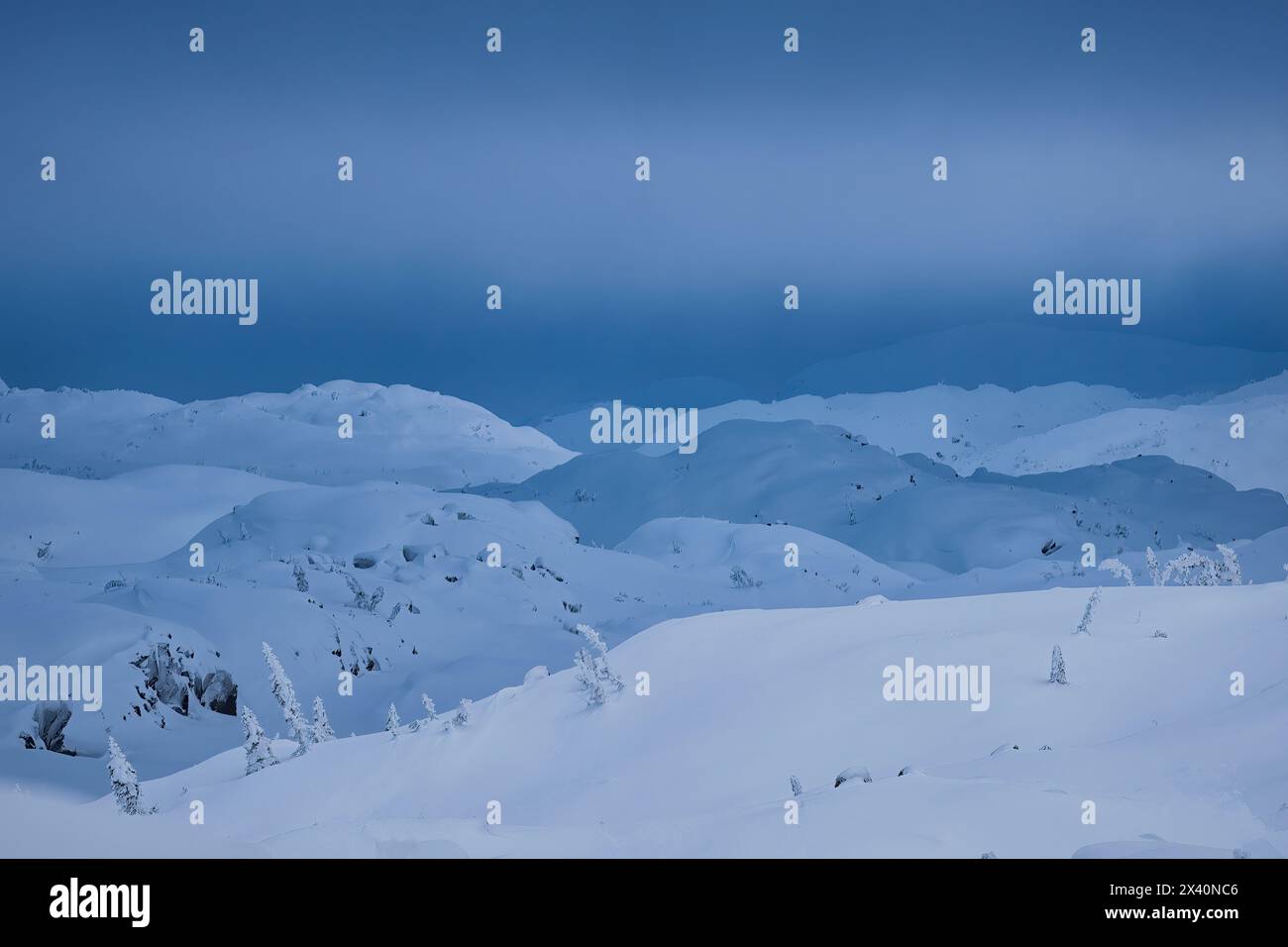 Mostra spettrale di luce sul White Pass sulla strada per Skagway, Alaska. La neve copre il paesaggio fino a 20 piedi di profondità. Una scena invernale tranquilla e surreale Foto Stock