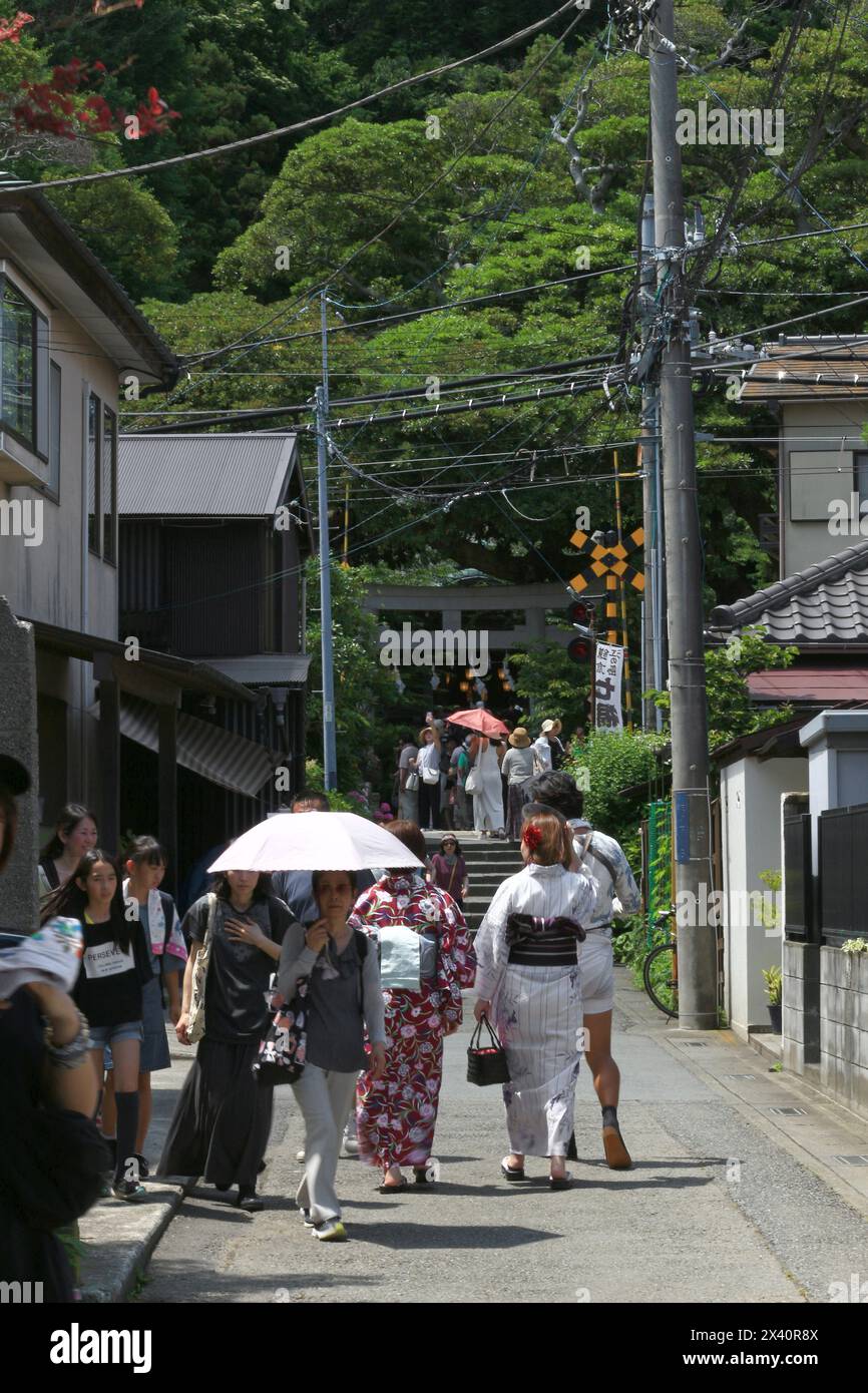 Vita quotidiana in Giappone Una scena estiva di avvicinamento al santuario Kamakura Goryo, dove le donne in yukata e le persone con ombrelloni vanno e vengono Foto Stock