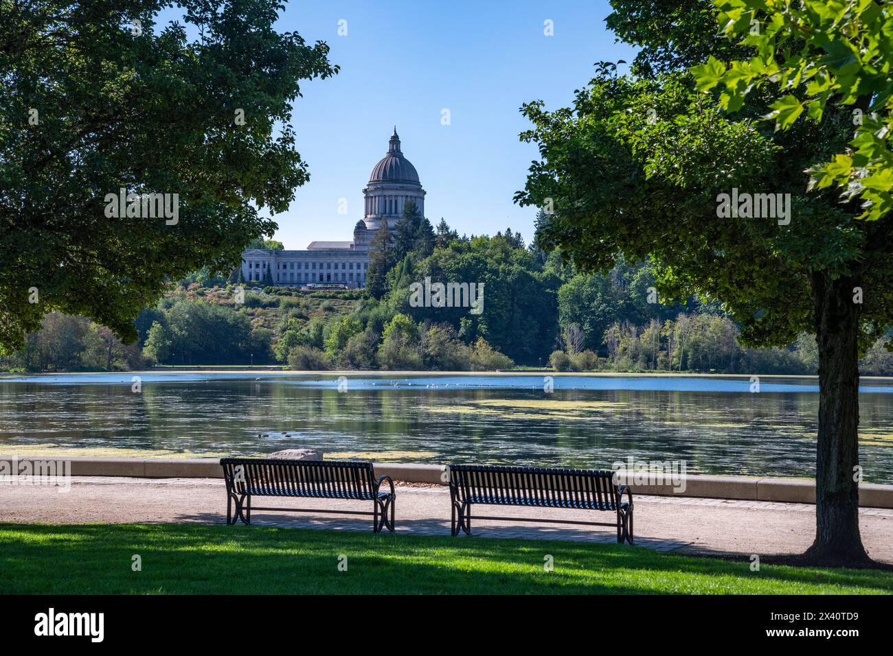 Vista del Campidoglio dello Stato di Washington e degli uffici che si affacciano sul Capitol Lake e sul parco; Olympia, Washington, Stati Uniti d'America Foto Stock