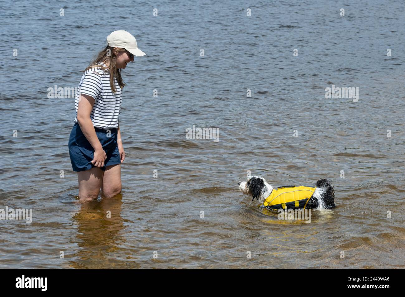 Giovane donna gioca con il suo cane in acqua, con il cane che indossa un giubbotto di salvataggio giallo; Lake of the Woods, Ontario, Canada, Foto Stock