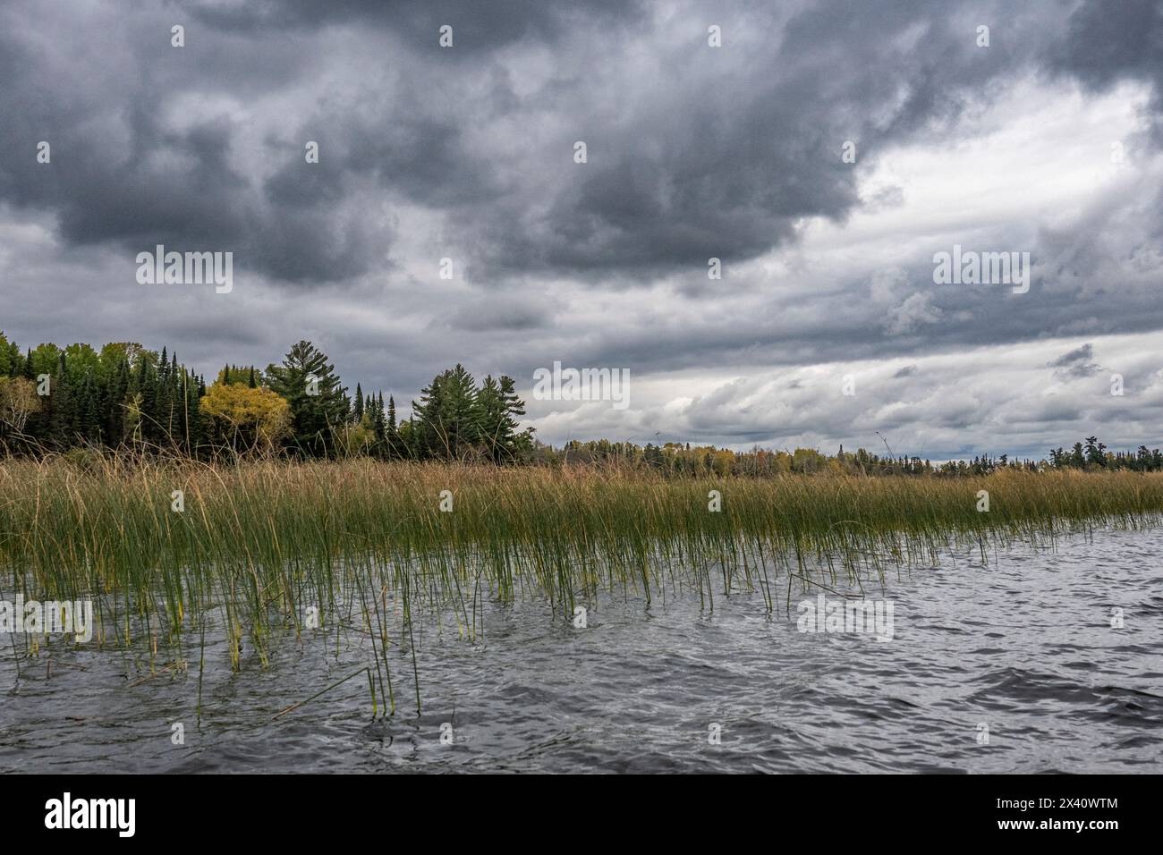 Le nuvole di tempesta si radunano su un lago in autunno; Lake of the Woods, Ontario, Canada Foto Stock