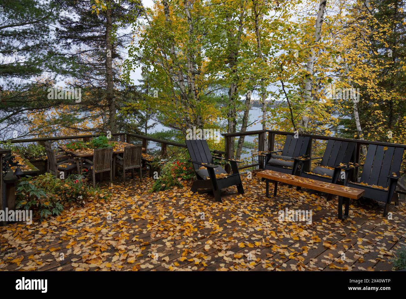 Le foglie cadute coprono un ponte del cottage con vista sul mare; Lake of the Woods, Ontario, Canada Foto Stock