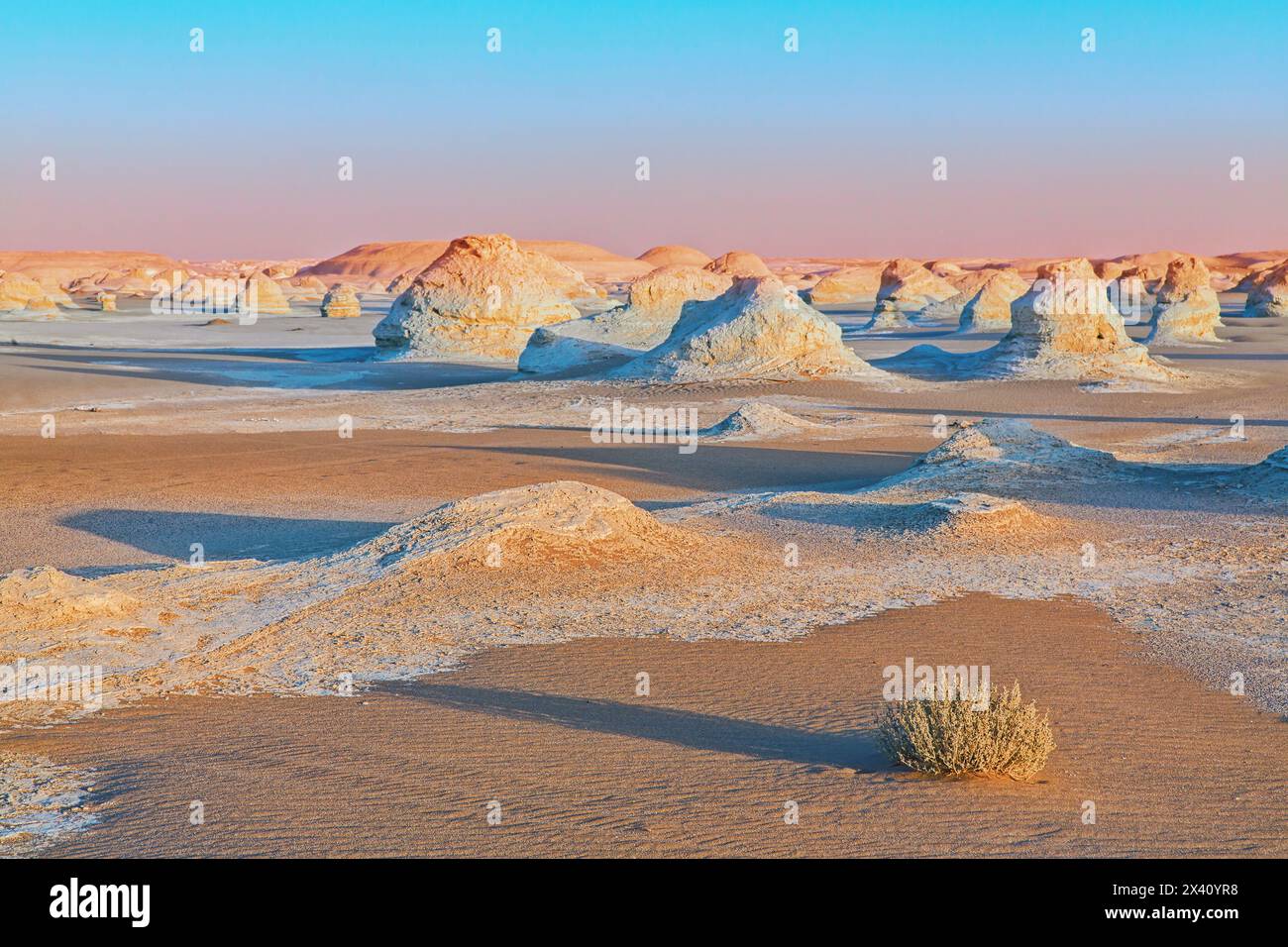 Sabbia e formazioni calcaree bianche al tramonto in un mare di sabbia, con ombre alla luce della sera, area protetta del deserto bianco; Egitto Foto Stock