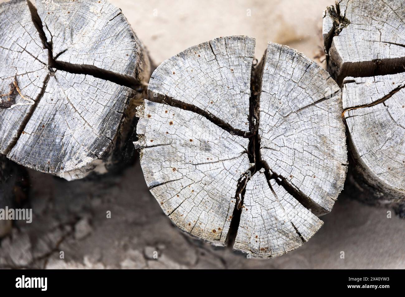 Europa, Germania. breakwater Foto Stock