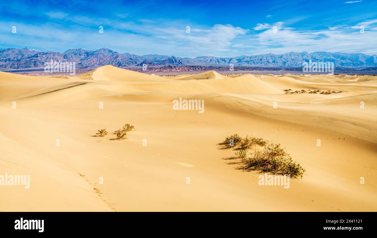 Vista panoramica delle dune di sabbia di Mesquite Flat e delle montagne dietro al Death Valley National Park in California Foto Stock