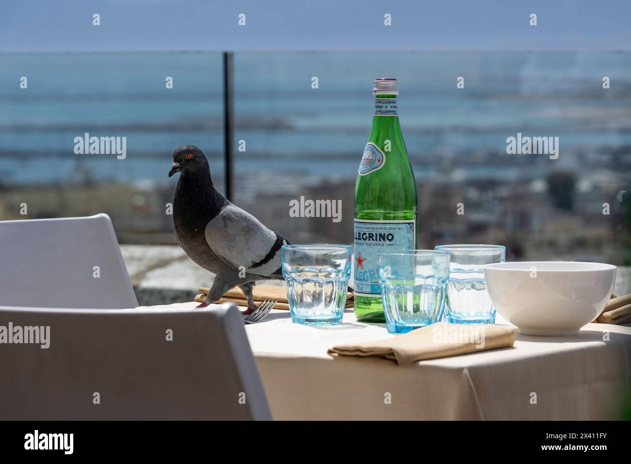 Il piccione cammina su un tavolo nel patio di un ristorante all'aperto; Cagliari, Cagliari, Italia Foto Stock